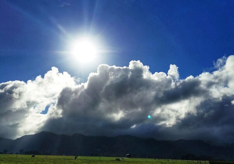 민박 The House With No Nails