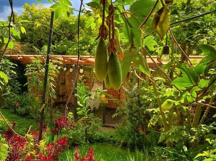 Casa Agrreste Bed & Breakfast