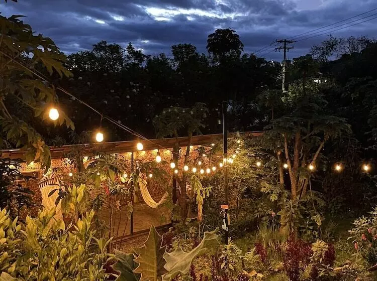 Casa Agrreste Bed & Breakfast