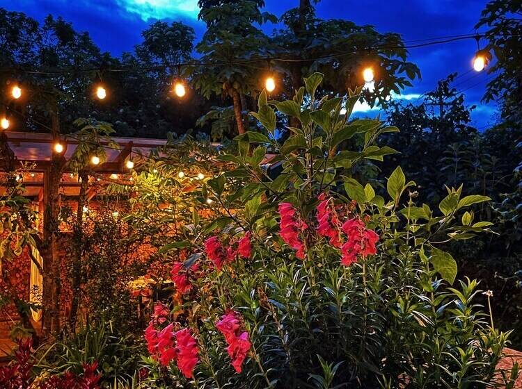 Casa Agrreste Bed & Breakfast