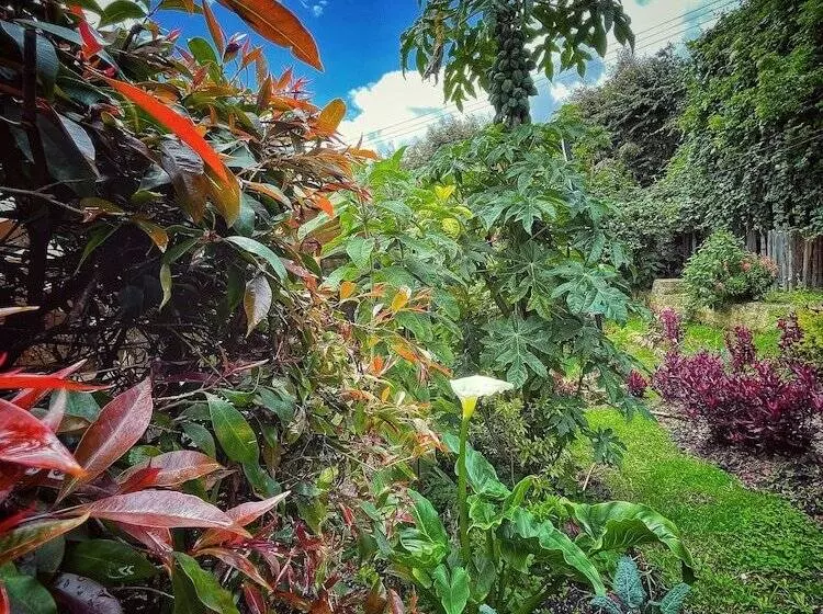 Casa Agrreste Bed & Breakfast