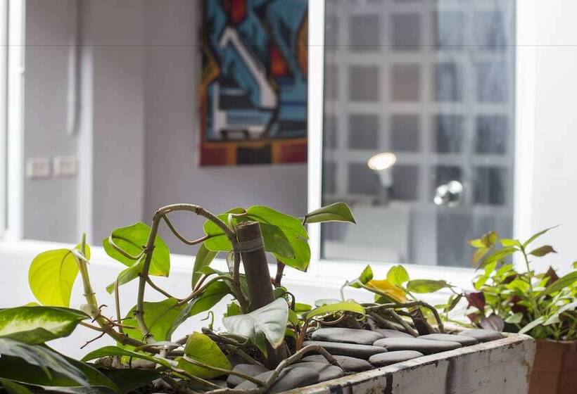 Coolto Art Lodge   Hostel