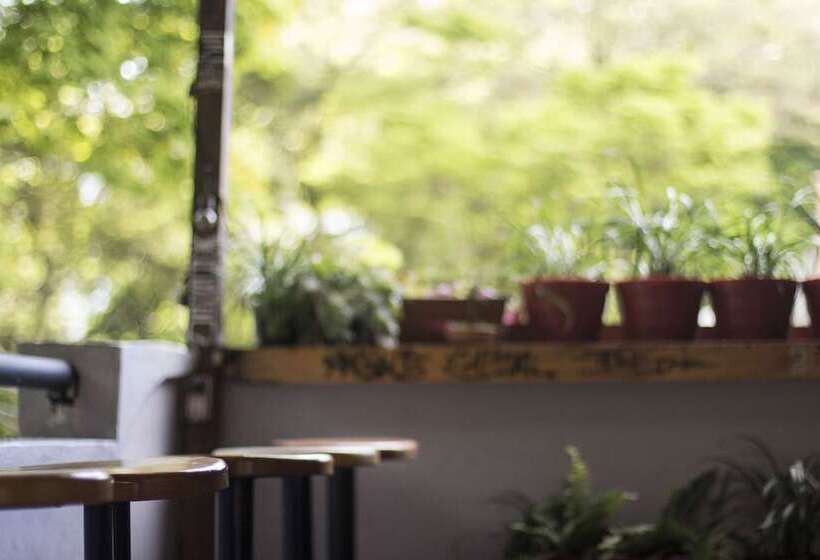 Coolto Art Lodge   Hostel