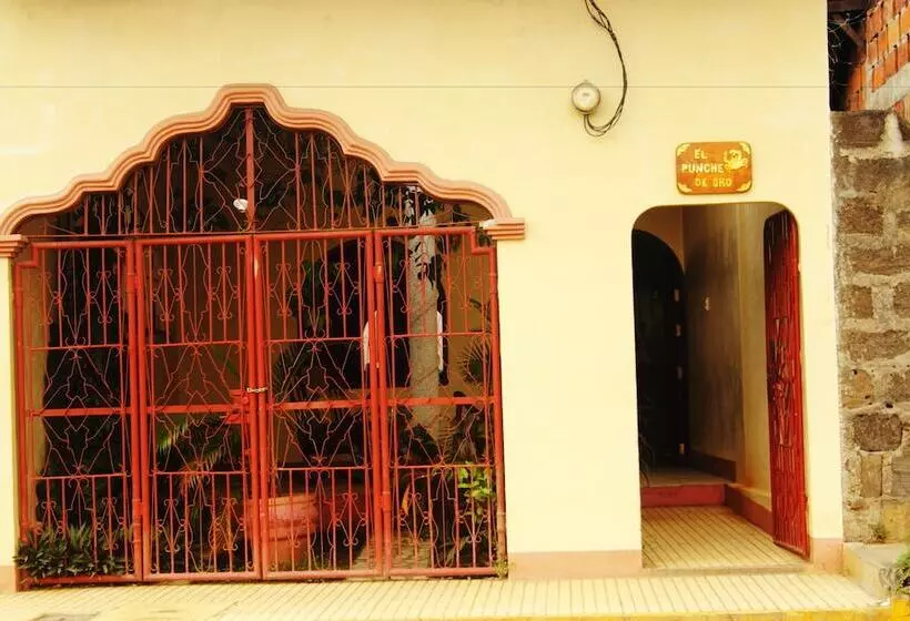 El Punche De Oro Guest House   Hostel