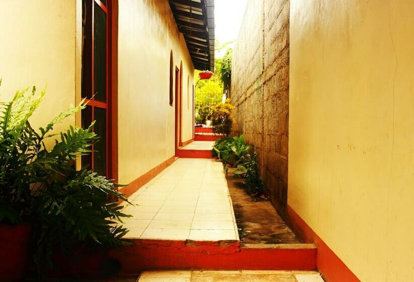 El Punche De Oro Guest House Hostel
