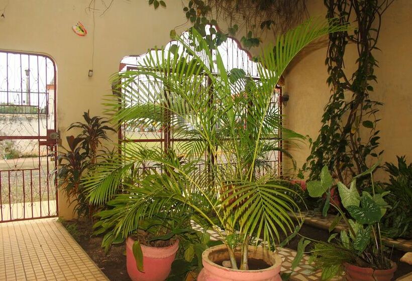 El Punche De Oro Guest House Hostel