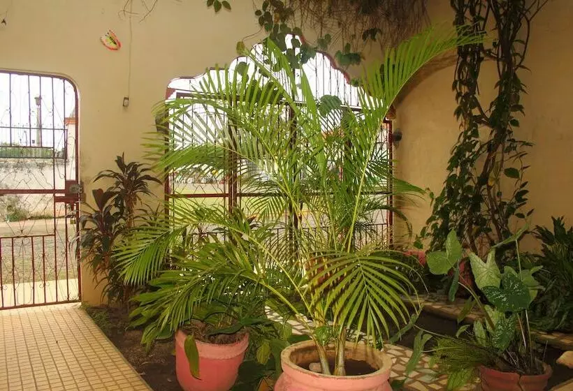 El Punche De Oro Guest House   Hostel