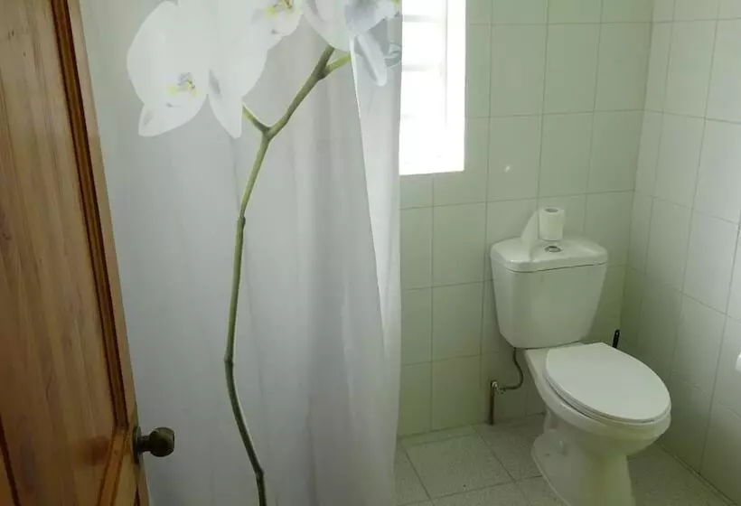 Hostal Viaggio