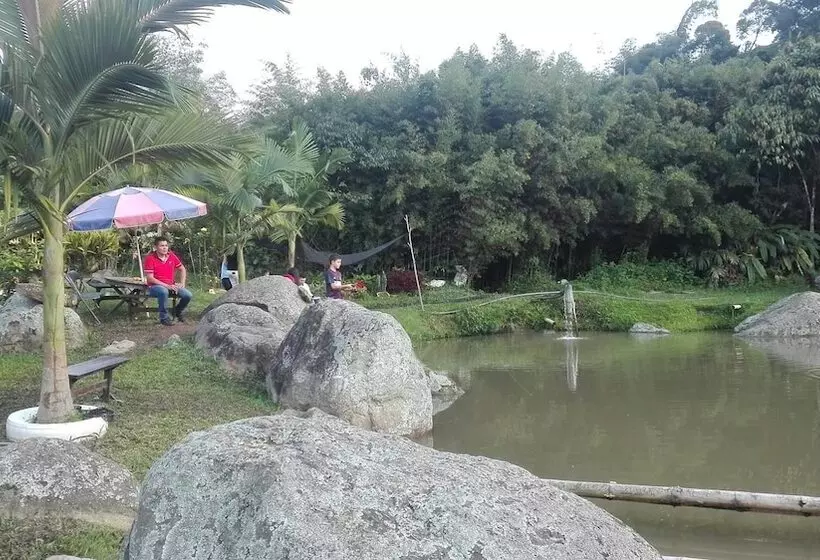 ホテル Acualandia Fish