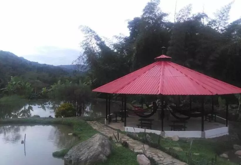 ホテル Acualandia Fish