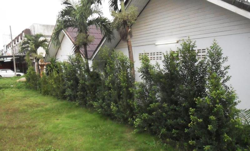 בית מלון כפרי Aonang Sr Bungalow