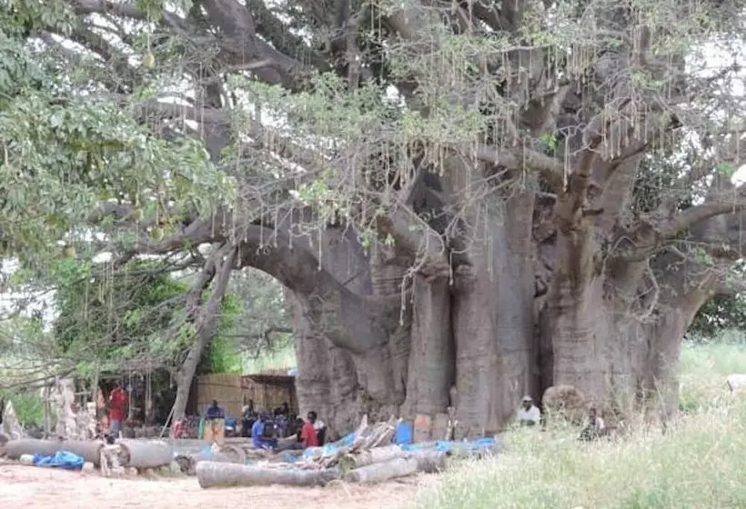 هتل Baobab Lodge