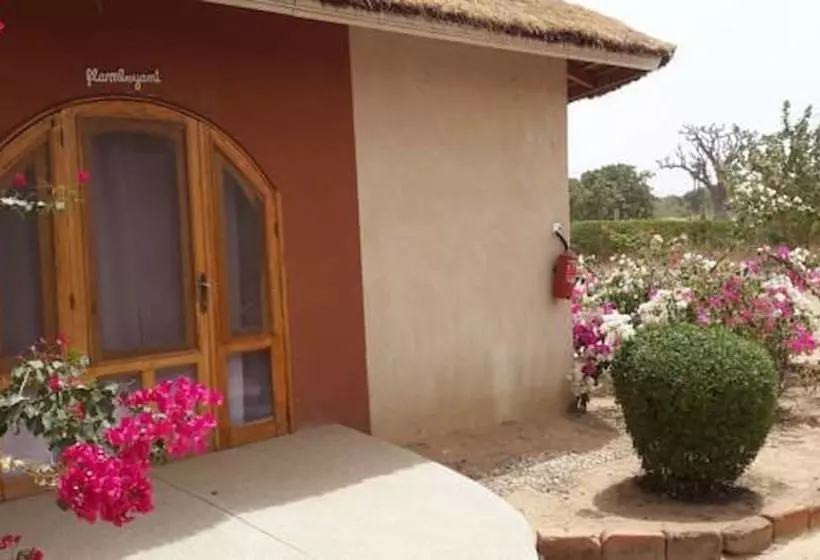 هتل Baobab Lodge