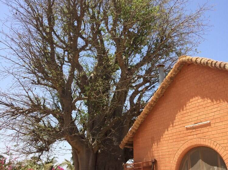 هتل Baobab Lodge