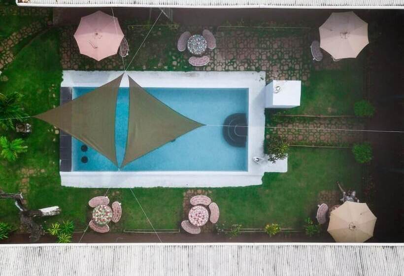 ホテル Big Daddy S Beach Club And