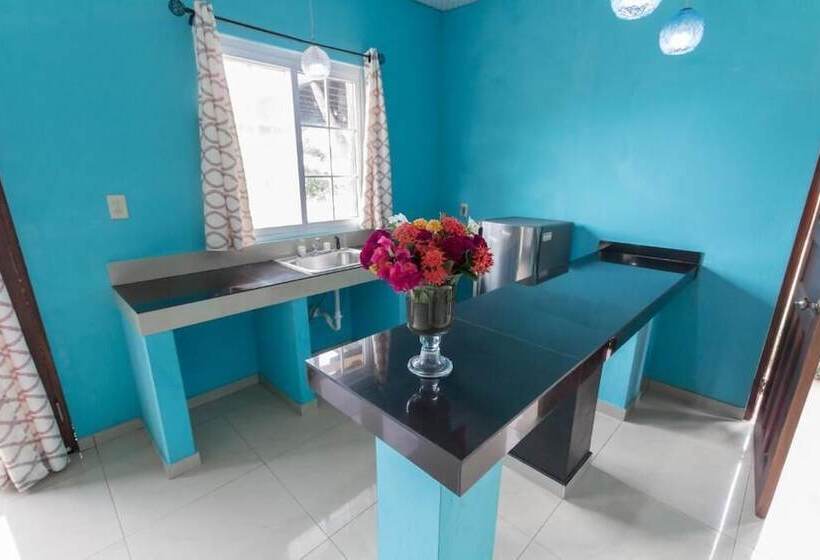 ホテル Big Daddy S Beach Club And