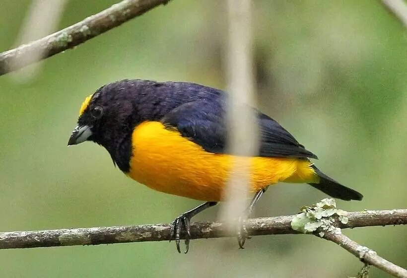 ホテル Casa Chente