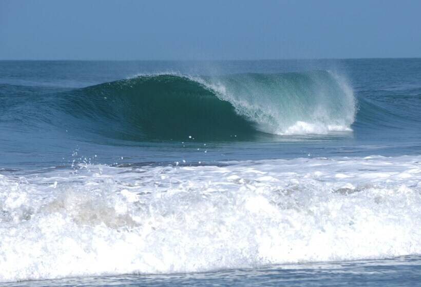 هتل Las Palmeras Beach