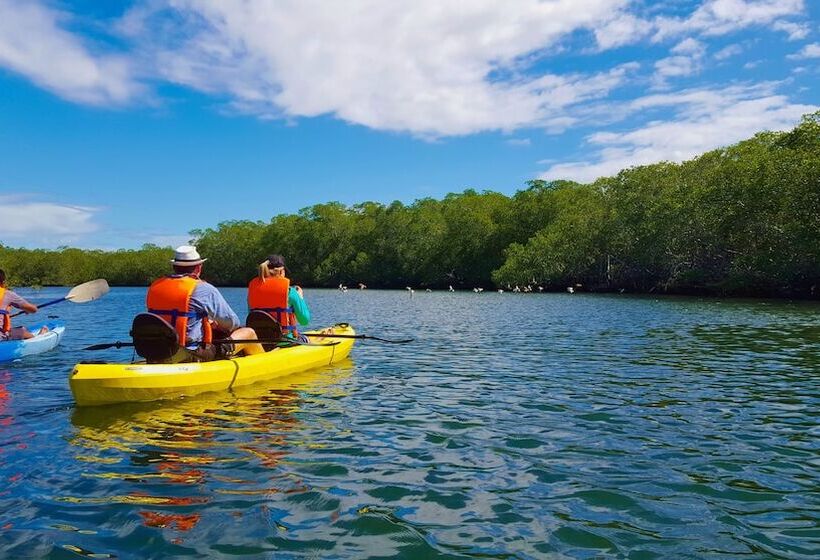 هتل Las Palmeras Beach