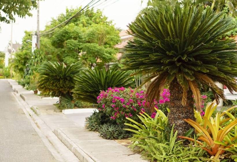 هتل Penthouse By The Sea 3bd Apartment Olr