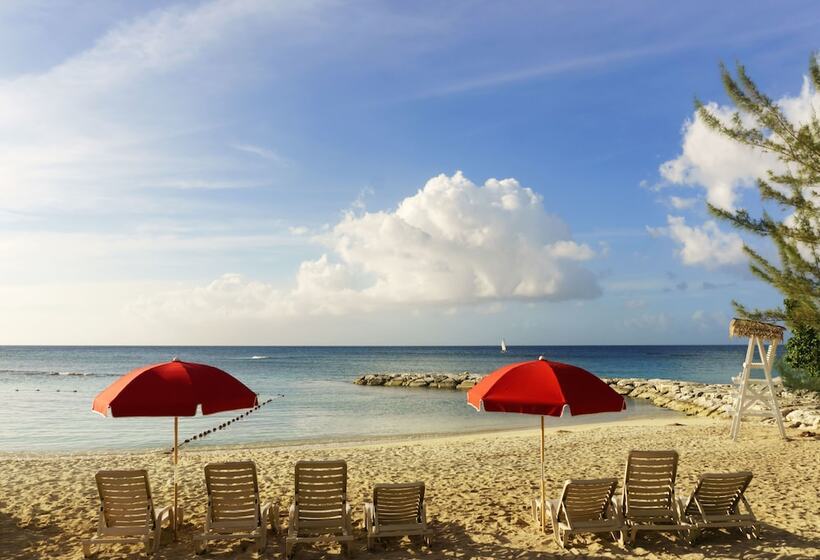 هتل Penthouse By The Sea 3bd Apartment Olr