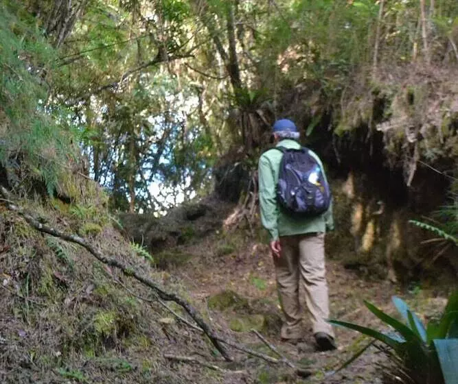 ホテル Pousada Encanto Da Bocaina