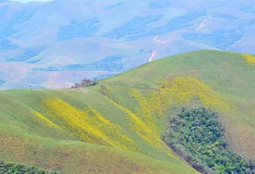 ホテル Pousada Encanto Da Bocaina