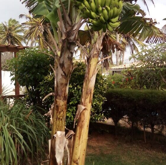 Hotel Pousada Ilha Verde