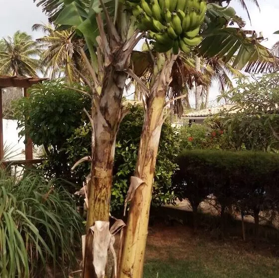 ホテル Pousada Ilha Verde