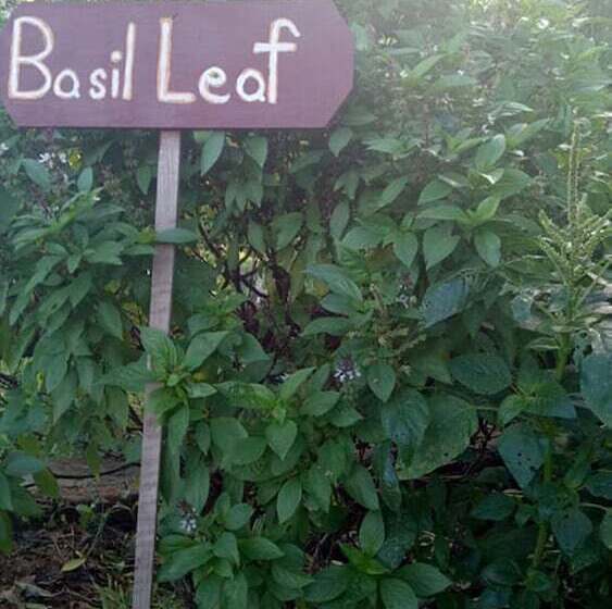 هتل Salay River View Inn