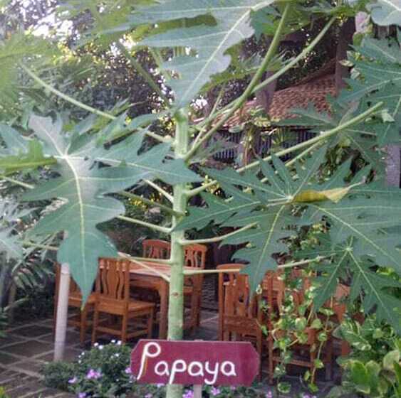 هتل Salay River View Inn