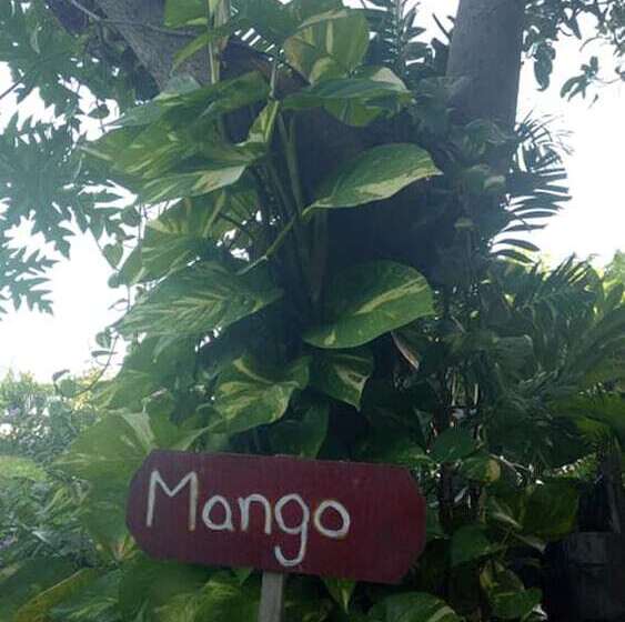 هتل Salay River View Inn