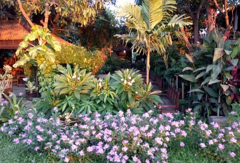 هتل Salay River View Inn