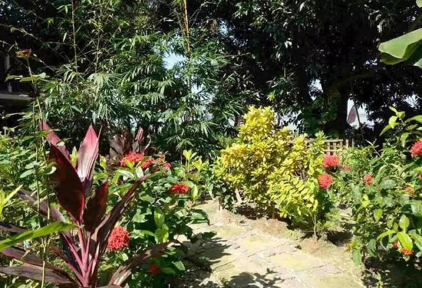 هتل Salay River View Inn