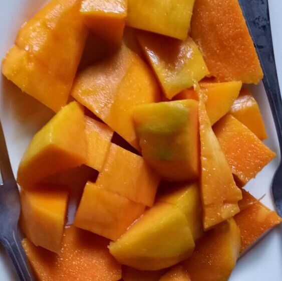 هتل Salay River View Inn