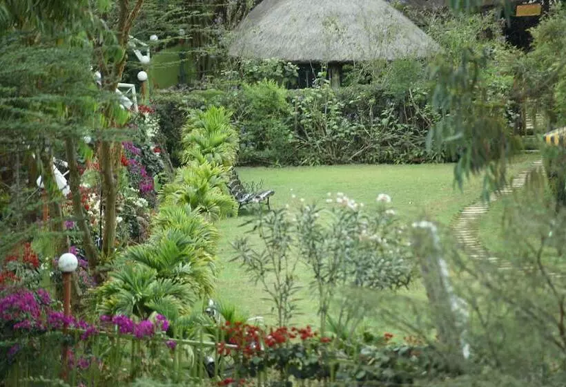 هتل The Old Kings Lodge And Resort