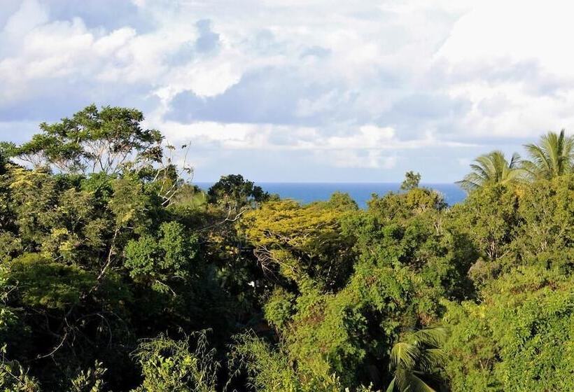 Novos Baianos Hostel E Suites