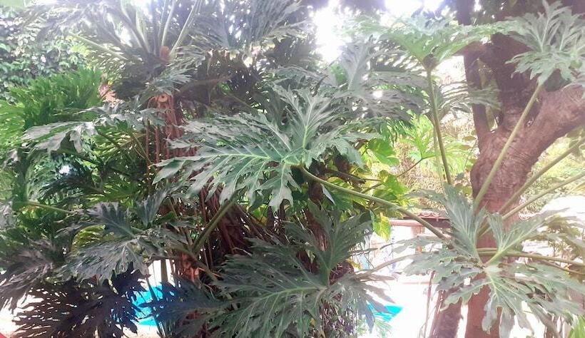 Novos Baianos Hostel E Suites