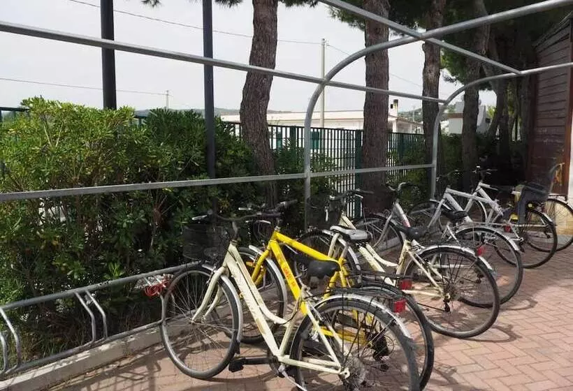 Oasiclub Hotel   Appartamenti