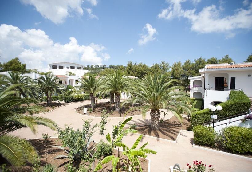 Oasiclub Hotel   Appartamenti