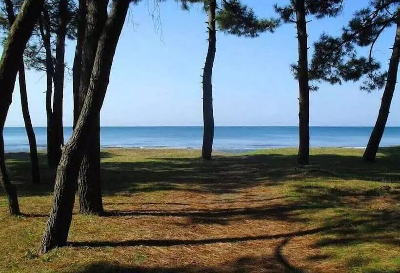 پانسیون Green House