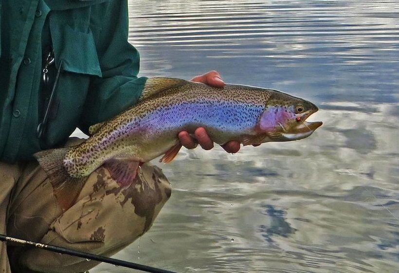 Panzió Monster Lake Ranch