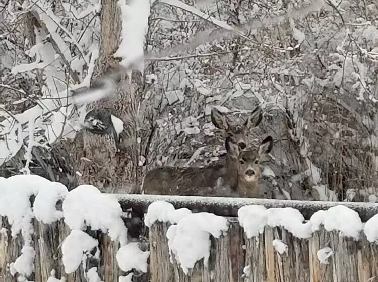 Majatalo Monster Lake Ranch