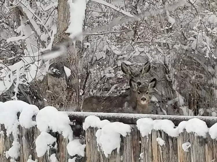 Majatalo Monster Lake Ranch