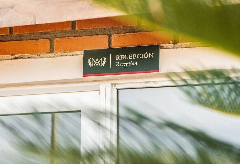 旅馆 Posada Madre America