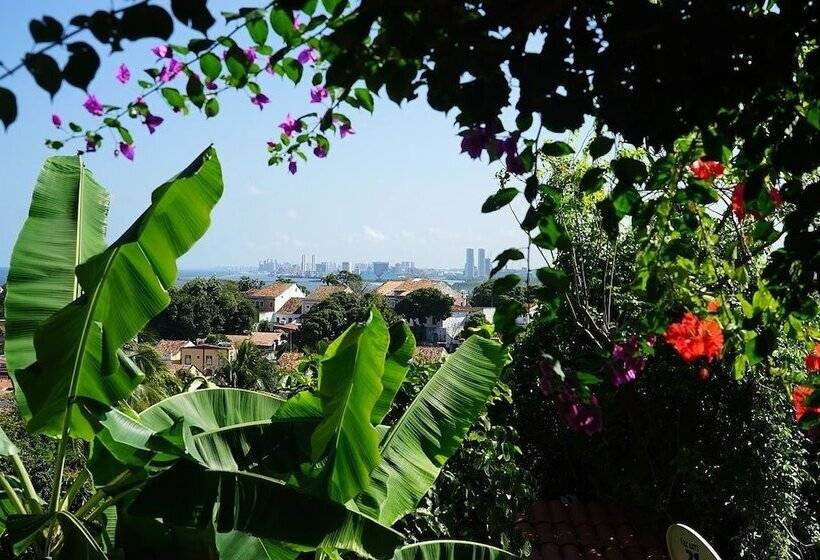 تختخواب و صبحانه Irradiante