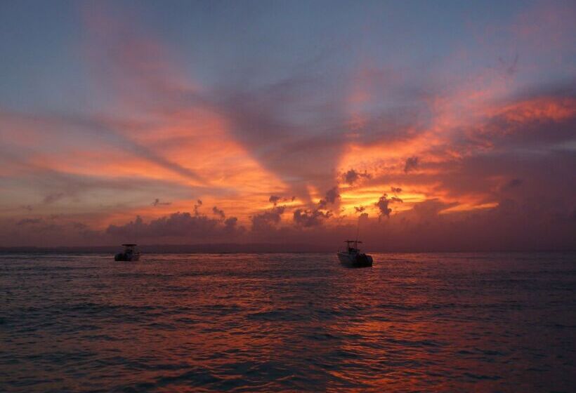 تختخواب و صبحانه Suites La Colline