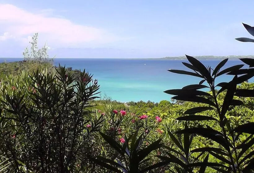 تختخواب و صبحانه Suites La Colline