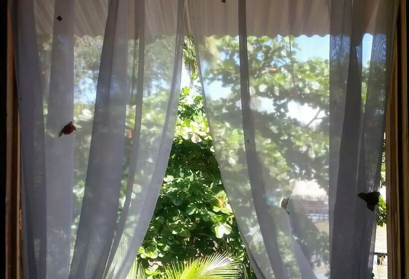 簡易ホテル El Jaguar