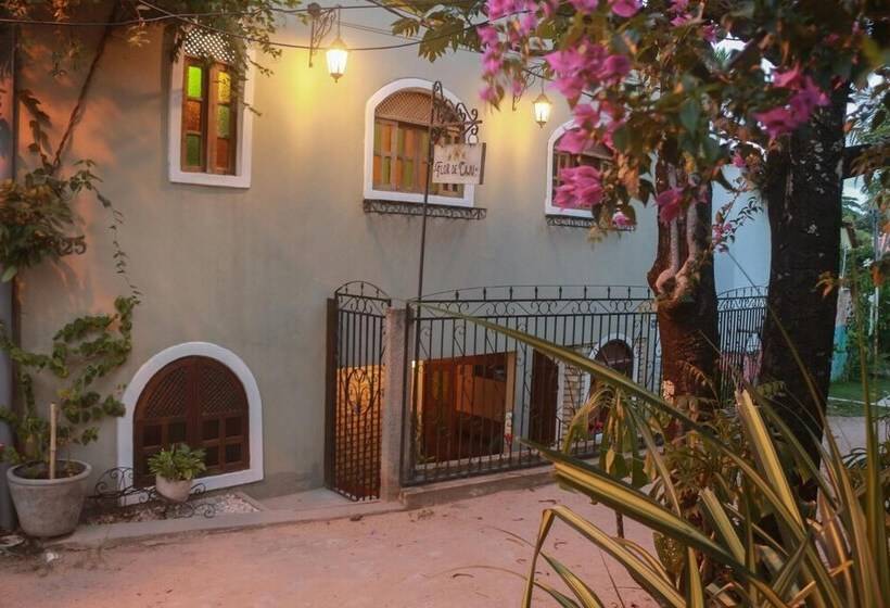 Hostel Flor De Caju